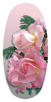 DASOV 064  Bouquet Of Roses Pink